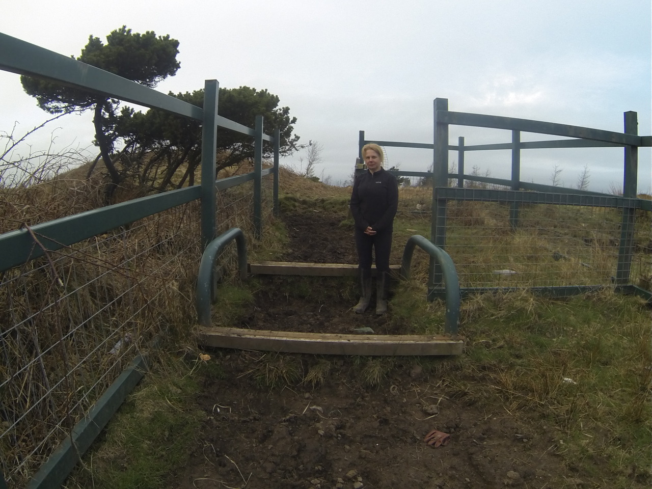 <p>Jean at the third horse walk over at the top of Mynydd Machen.</p>