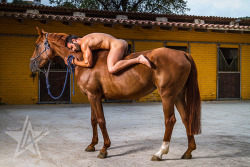 jesustoh:  French Model Jess Vill Naked on Horse Photographed