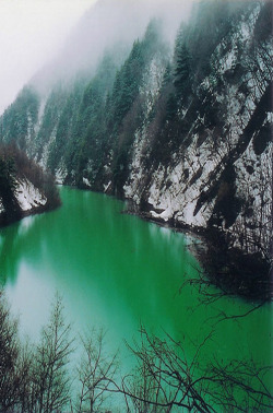 c1tylight5:  Green River (by FilterEast.com)               