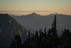 90377:  Mount Rainier at sunrise by Lianne Morgan  