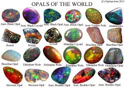 carry-on-my-wayward-butt:  Opals? more like the depths of fucking space smushed into a stone  My favorite stone for this very reason.