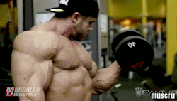 musclestud:  HOT MASSIVE MUSCLEGOD PUMPING UP AT THE GYM !  WOOF !