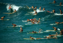 natgeofound:  Surfers overpopulate the waves off of Bondi Beach