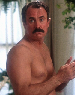 litefuzz:  Dabney Coleman in Modern Problems (1981) 