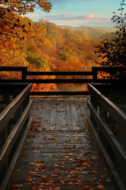 earthyday:  Autumn Overlook © Robert Blair 