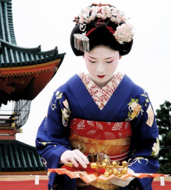 thekimonogallery:  The maiko (apprentice geisha) Fukuya prepares