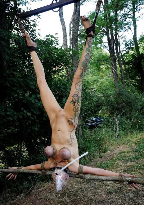 slavecafe:  Nice camping trip, isn’t it honey?  Suspension, bondage, bagged, what more could a girl want from a camping trip?