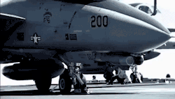 theworldairforce:  F14 Tomcat As Requested By: razgriz-ghost