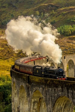 sublim-ature:  Glenfinnan Viaduct, ScotlandKaterina Folprechtova