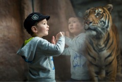 sixpenceee:  “He was so fascinated by the birds, he missed