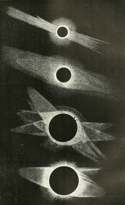 nemfrog:The corona of the solar eclipse of July 29, 1878, from