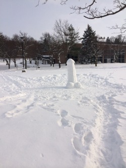 catsinabluebox:  some kids built this outside my dorm.  and here