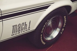 carfunkel:  Mustang Mach 1. Love details 😎 #mustang #mach1