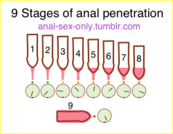 anal-sex-only:  1 - The anus is tightly closed.  The tip of