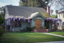 dailybungalow:  1922 Cottage studded with Wisteria by Jett Loe