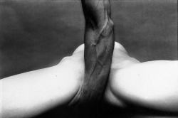 kvetchlandia:  Eikoh Hosoe     From the “Embrace” Series