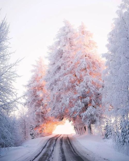 betomad: Winter approaching Finland.  📸 Photo by: @jukkapaa