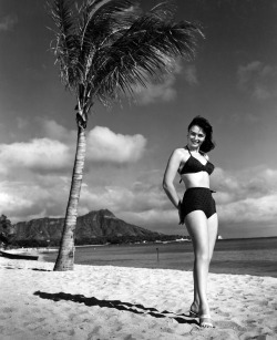 avasgal:  Donna Reed on the beach in Honolulu, Hawaii, during