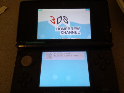 sokkycakes:  tinycartridge:  3DS Homebrew Channel imminent ⊟