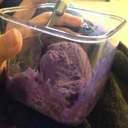 brusts:  notsuperstitious:  brusts:  ube ice cream in a plastic