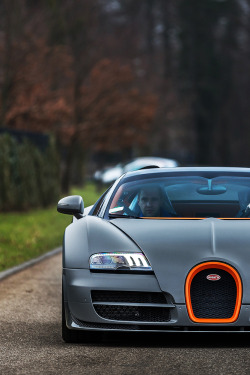 Matte Gray + Orange | © | AOI