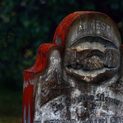 Red lichens grow on grave in Tasmania