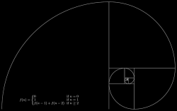 xforxanax:  Fibonacci sequence spiral