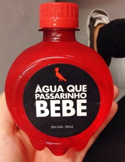 rapariguinha