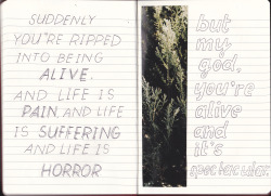 365-letterstoyou:  “Suddenly you’re ripped into being alive.