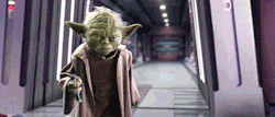 hcfmodels:  r10t3r:  how i feel on exam days…when i actually
