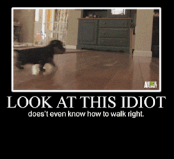 memator:  Who Walks Like This? http://ift.tt/1tOpETR http://ift.tt/1FPCHwI