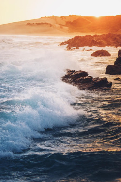 lsleofskye:  Sardinia Bay Nature Reserve