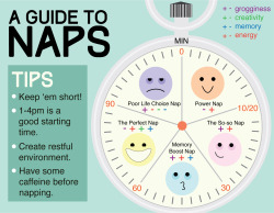onwingstodestiny:A Nap Infographic I did for class.Because Naps
