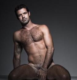 mydaddyishairy:  My Daddy is Hairy - over 20,000 followers: Archive