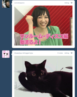 hkdmz:  highlandvalley:  mcsgsym:  (via yukko)