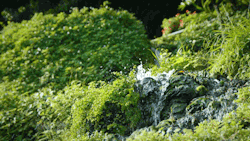 hvllucinvtion:  paleception:  hvllucinvtion:  paleception:  dampmoss: