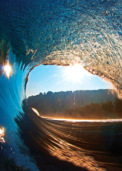 highenoughtoseethesea:  Photo: Clark Little 