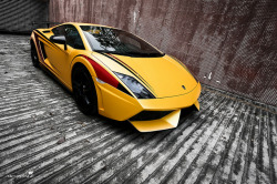 automotivated:  IMG_43061lamborghini gallardo lp560-4 by AlexMXY