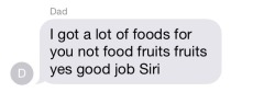 postllimit:  my father discovers voice to text