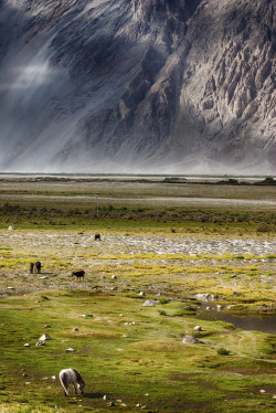 breathtakingdestinations:  Ladakh - Jammu and Kashmir - India