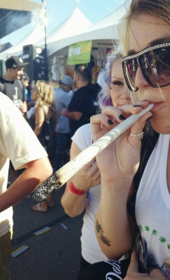 damnnlyssa:  Throwback to the sf cannabis cup 