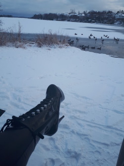 pcs0414md:  halifaxlatexcumslut:  Watching the Ducks in my new