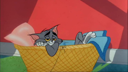 itsyamtastic:  chuck jones gives tom some the best expressions