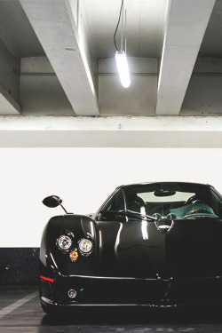 mistergoodlife:  Zonda ║ Via ║ Goodlife 