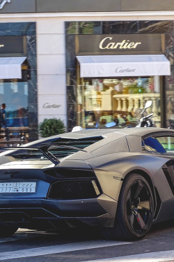 italian-luxury:  The Shopping Car 