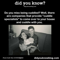 did-you-kno:  Do you miss being cuddled?  Well, there are companies
