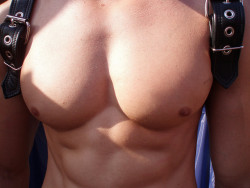 Male nipples and pecs