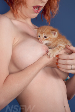 One of many adorable months in this year’s Kitties & Titties