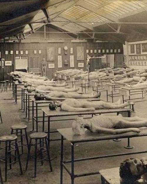Voici à quoi ressemblait un cours d'anatomie en 1900 au Collège