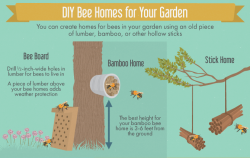 animalsandtrees: Creating a Bee-Friendly Garden 					 					A